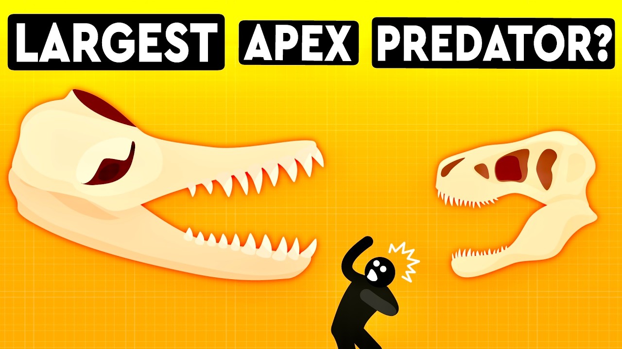 What&rsquo;s The Largest Apex Predator To Have Ever Existed? DEBUNKED