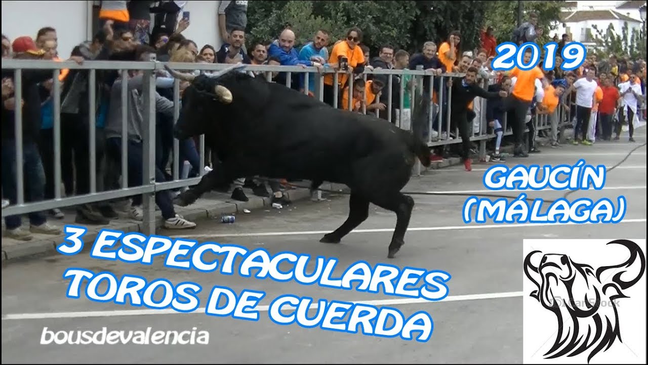 GAUCÍN (MA) 2019 - IMPRESIONANTES 3 TOROS DE LA GANADERÍA GAVIRA DOMINGO DE RESURRECCIÓN