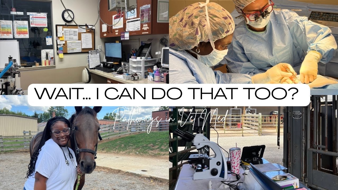 Pre-Vets: Watch This Before Applying to Vet School 👀🐾