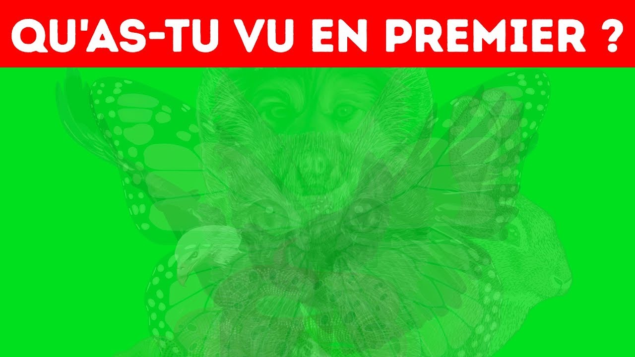 Le Premier Animal Que tu Vois en Dit Beaucoup Sur ta Personnalit&eacute;