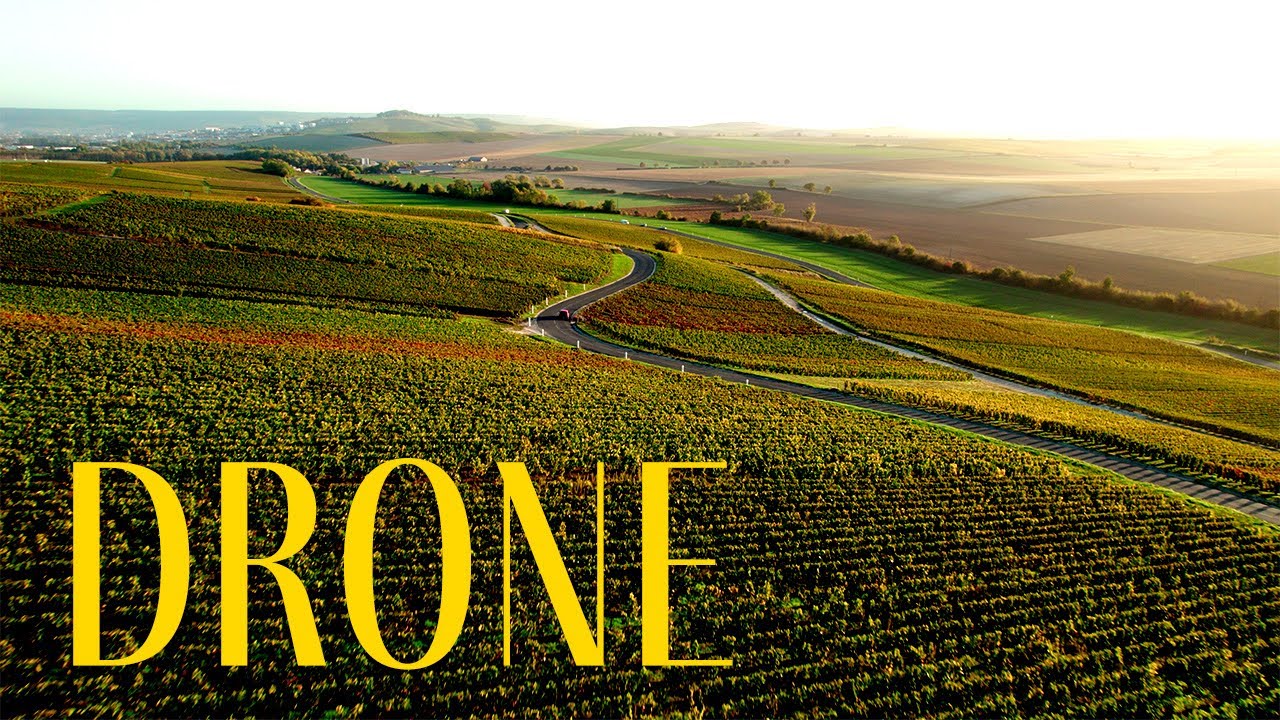 Exploring the Vineyards: Stunning Drone Footage from France and The Netherlands