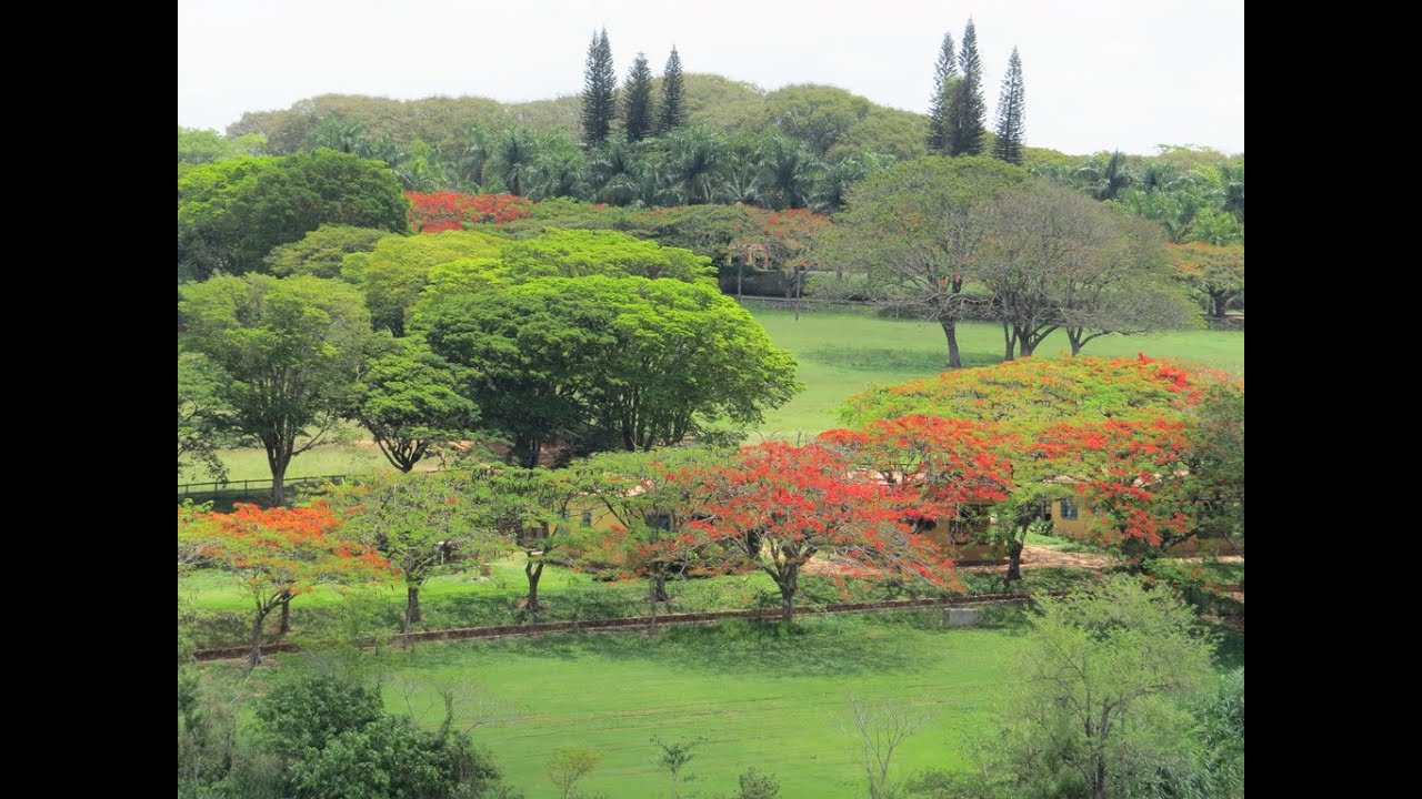 FAZ 110 - Fazenda/ Haras na Região de Jaguariúna/SP – 108 alqs Altíssimo Padrão. ML FAZENDAS