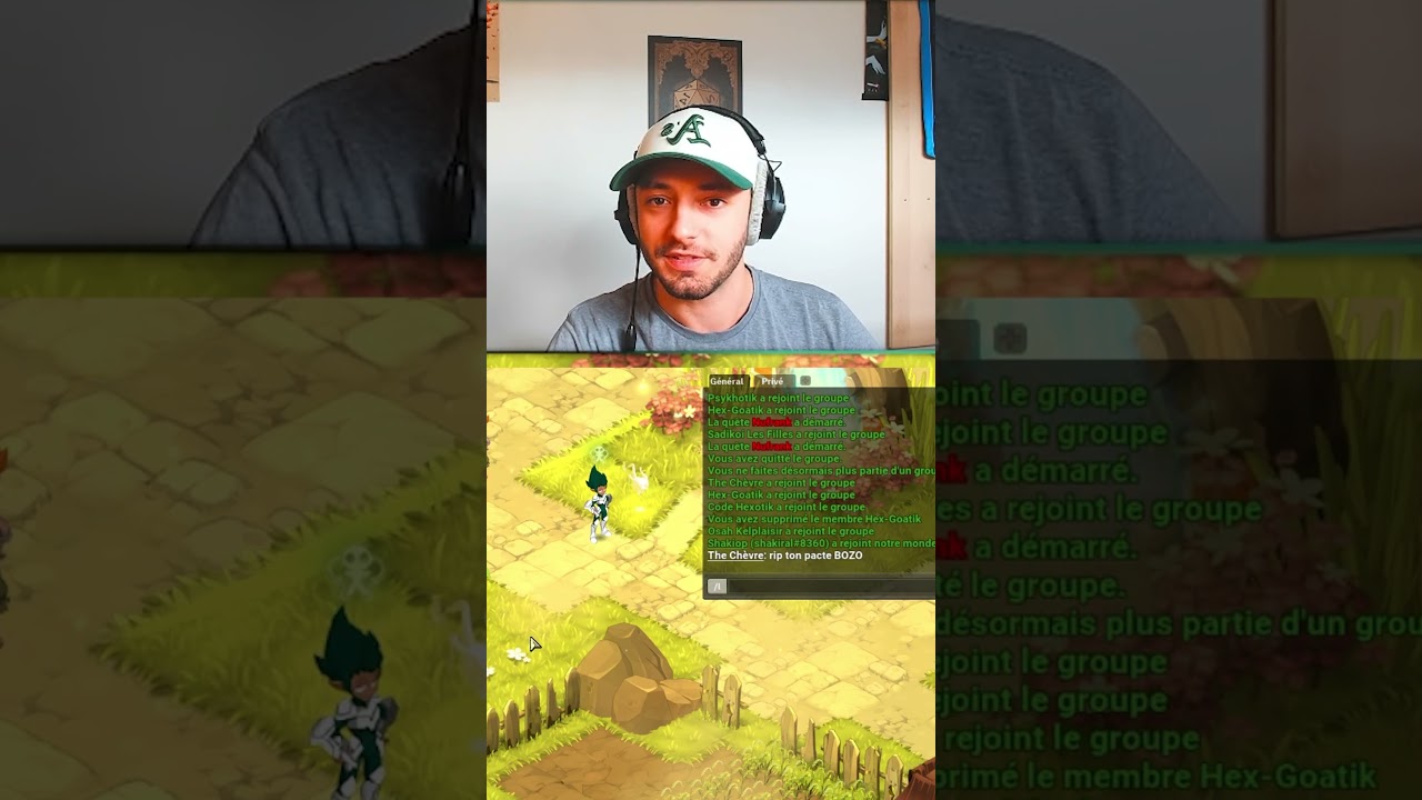 les raccourcis multicomptes WAKFU #hexotik00 #wakfu