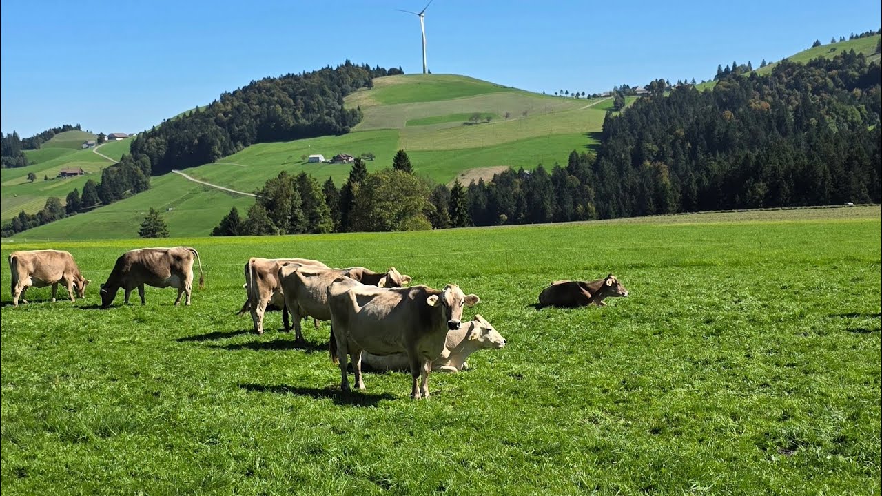 A Peaceful Bike Ride in Switzerland | Entlebuch to Werthenstein 🇨🇭🚴‍♀️