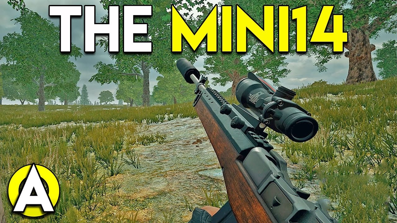 THE MINI14 - PLAYERUNKNOWN'S BATTLEGROUNDS