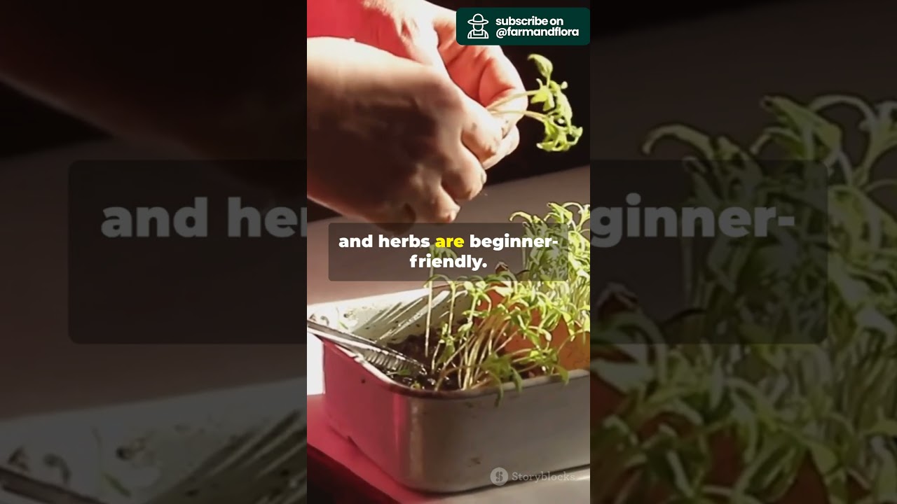 Urban Gardening Tips for Beginners 🌱 #farming #urbangardening