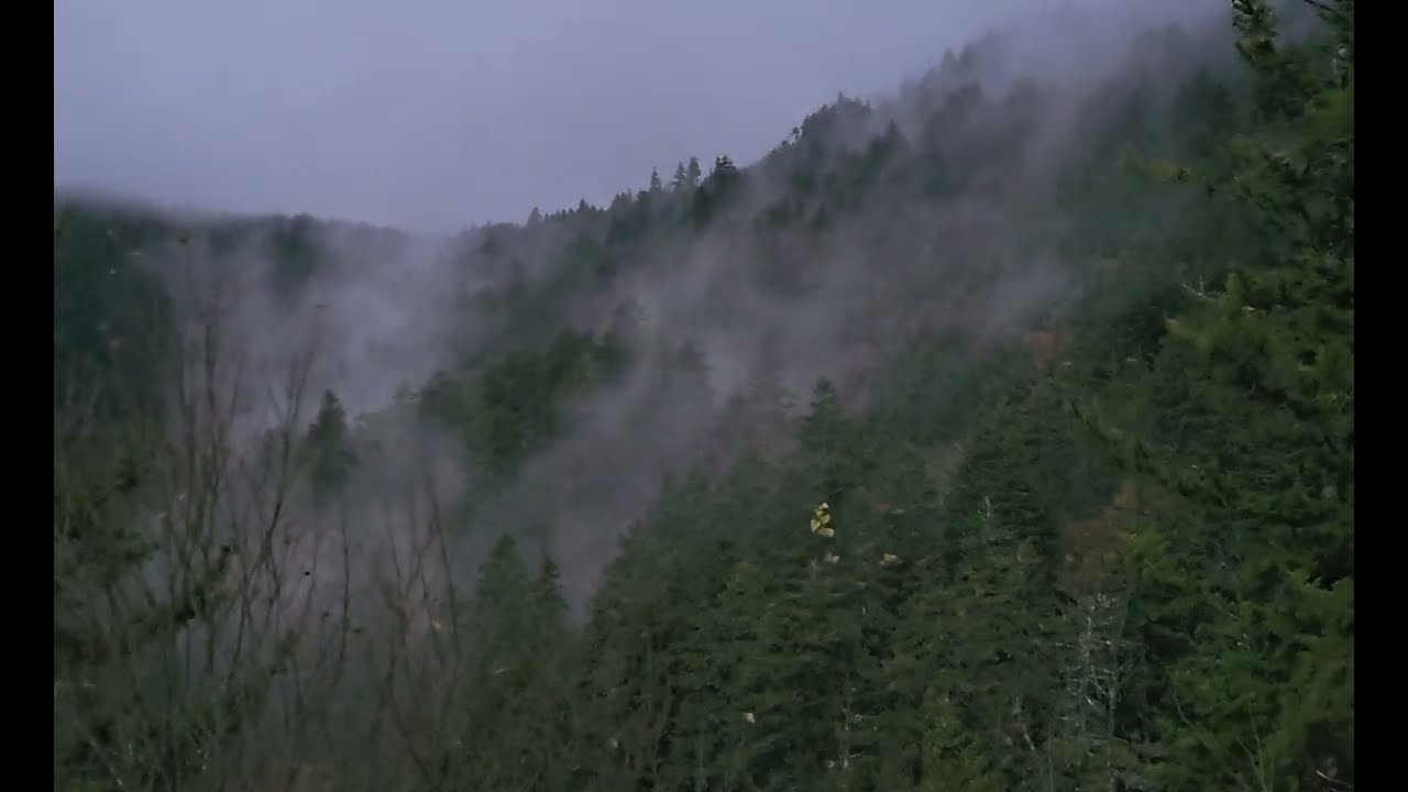 Foggy Clouds Whisping through Plott Balsams on the Blue Ridge Parkway after Sunset