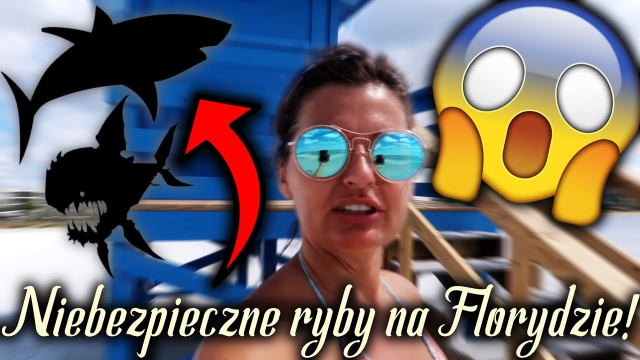 NIEBEZPIECZNE RYBY U WYBRZEŻY FLORYDY!