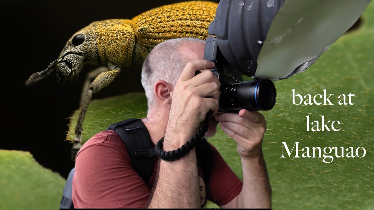 Back to lake Manguao with my laowa 65mm macro & Fujifilm X-T5