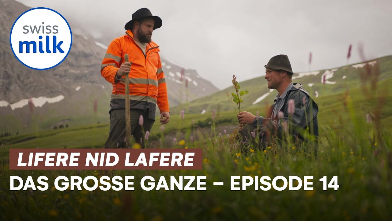 Das grosse Ganze | Lifere, nid lafere 1 | E14 | Toni spricht über die Weidepflege | Swissmilk (2021)