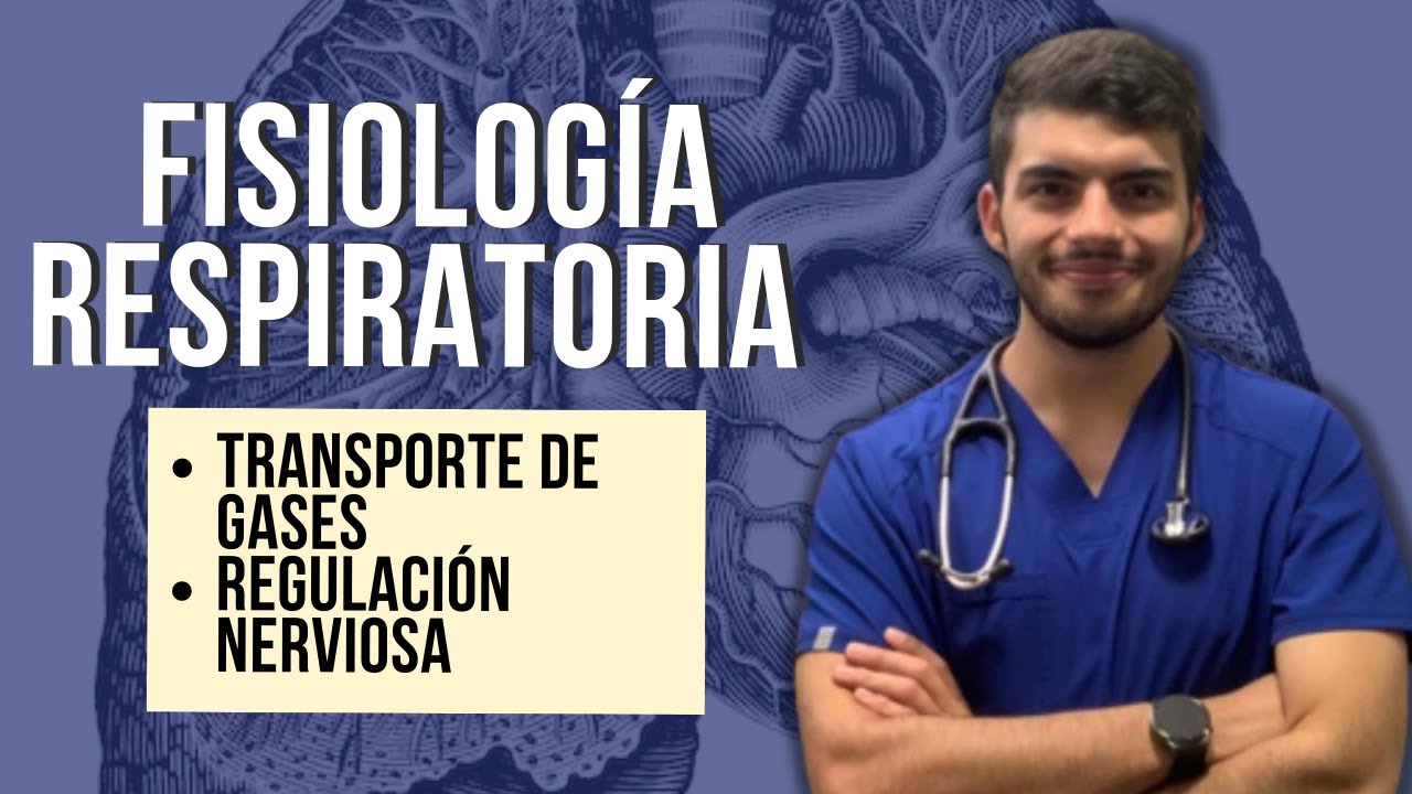 Fisiologia respiratoria 🫁 | Segunda parte