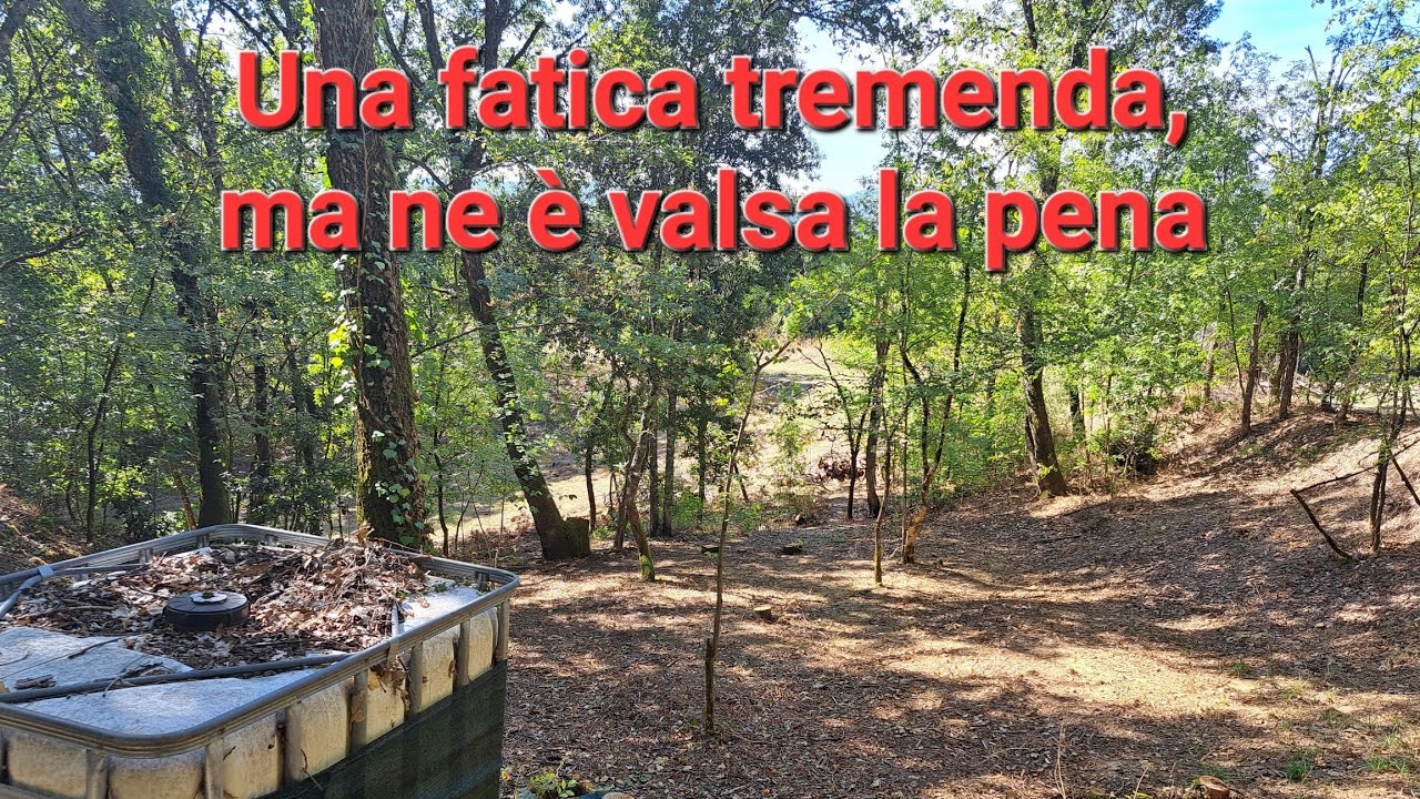 Abbeveratoio per gli animali selvatici e pulizia del bosco