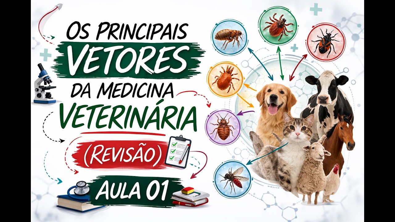 Os Principais vetores da Medicina Veterinária (Revisão) Aula 01