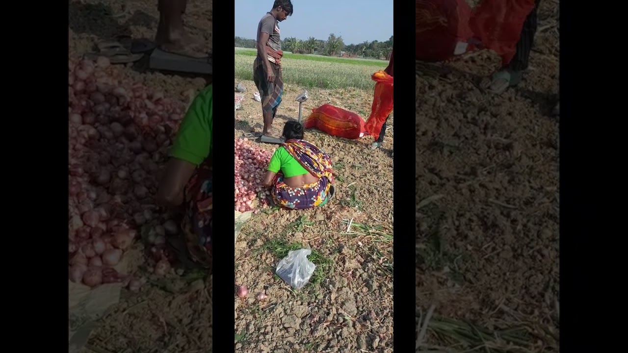 আমাদের গ্রাম###💐💐💐