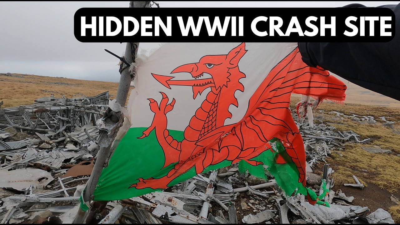 We Found a WWII Crash Site