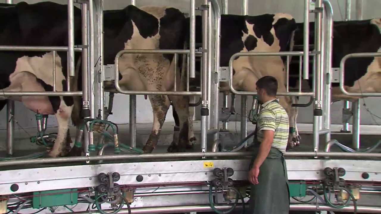 GEA manège AUTOROTOR Magnum 40