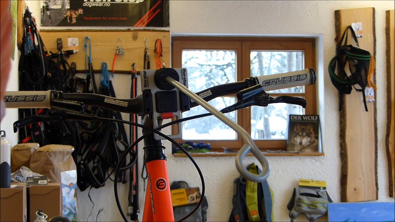 Scooter-Antenne/Bike-Antenne Klickfix von Non-stop dogwear, abnehmbar