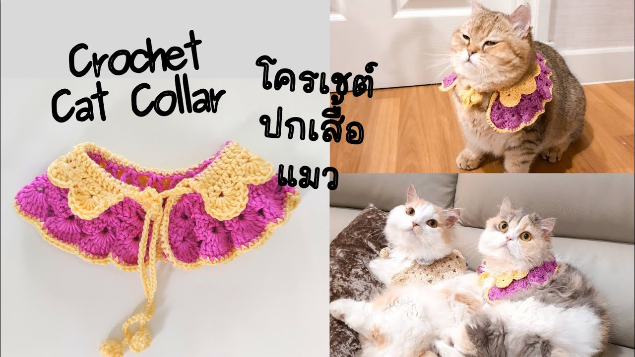 Crochet cat collar tutorial (Eng sub) | สอนถักปลอกคอแมว | Mild Blossom Crochet