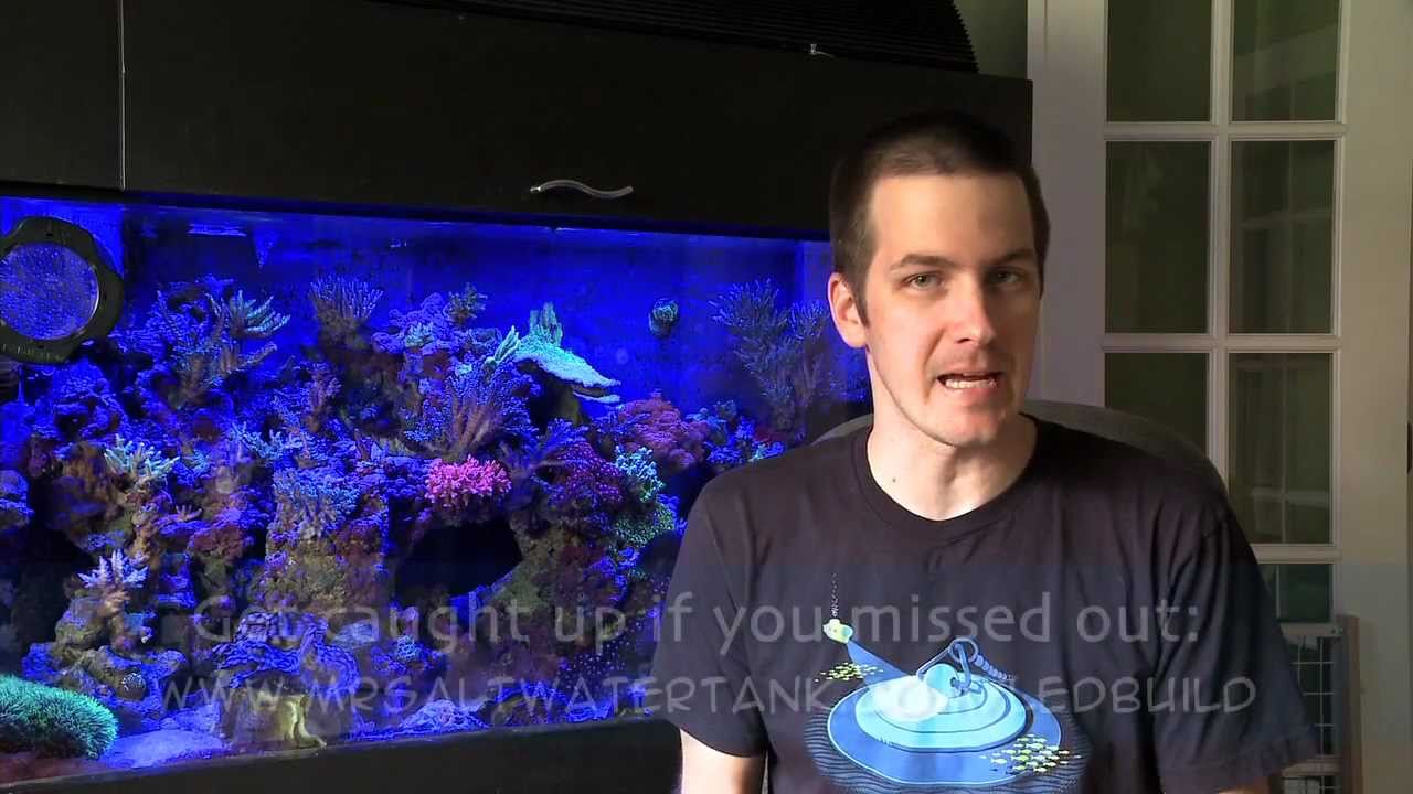 Mr. Saltwater Tank LED Experiment Update