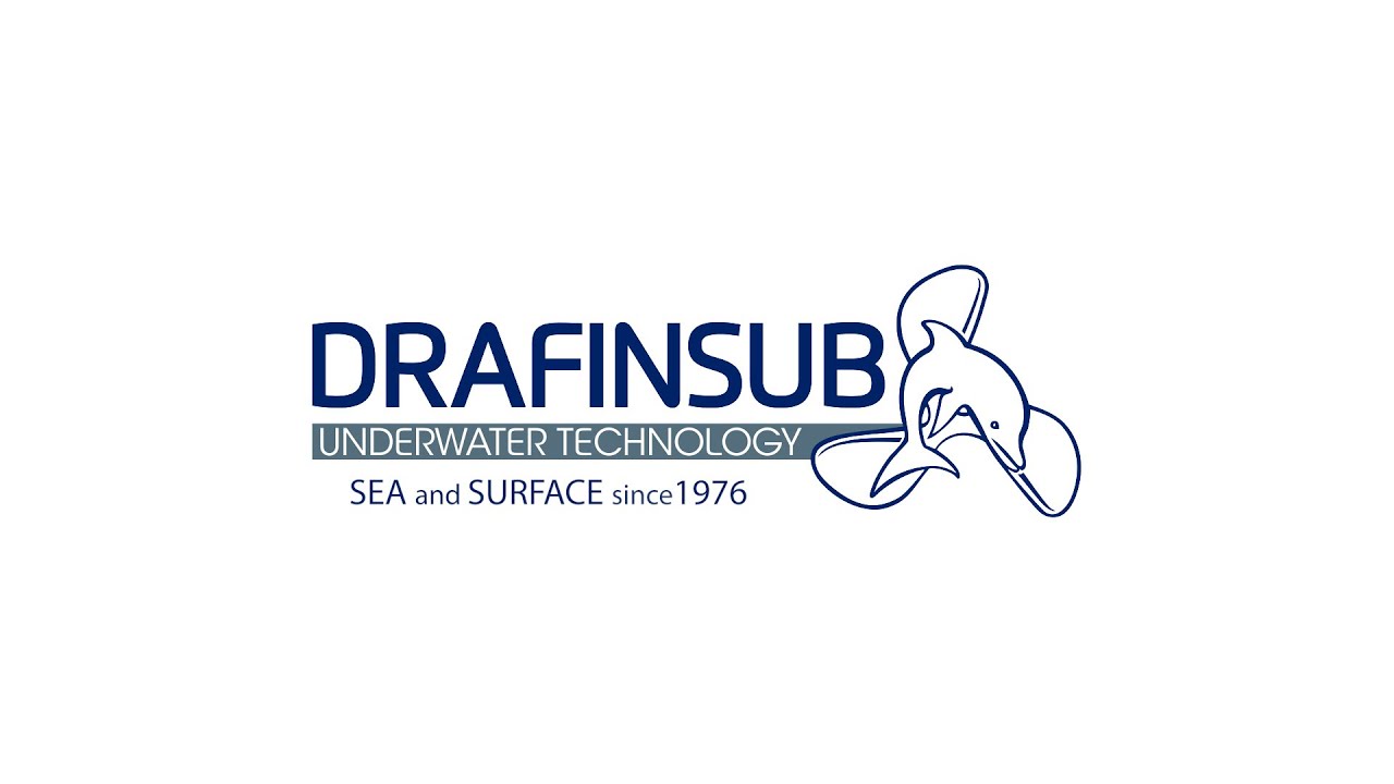 DRAFINSUB 2023 ...