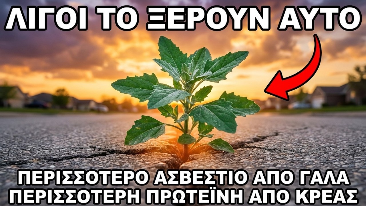 Καλύτερο από Βοδινό, Σπανάκι και Γάλα Μαζί. Γιατί το Μισούν Τόσο;