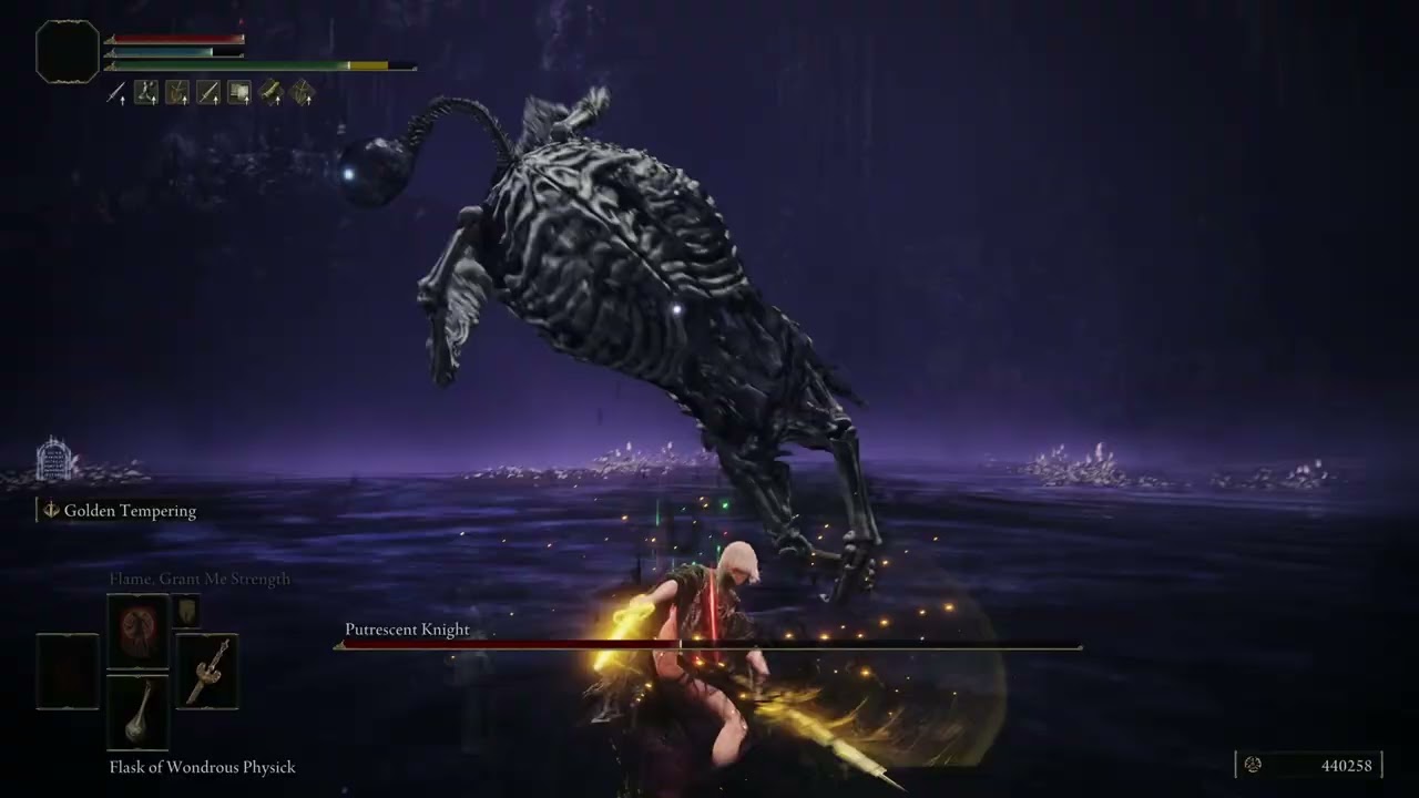 Elden RIng Putrescent knight No Hit Test vid(Ornamental Staraight Sword)