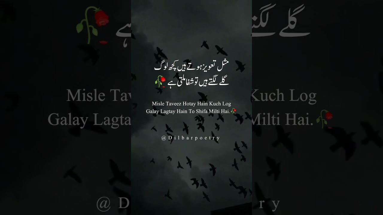 urdu shayari status|dilbarPoetry! 
