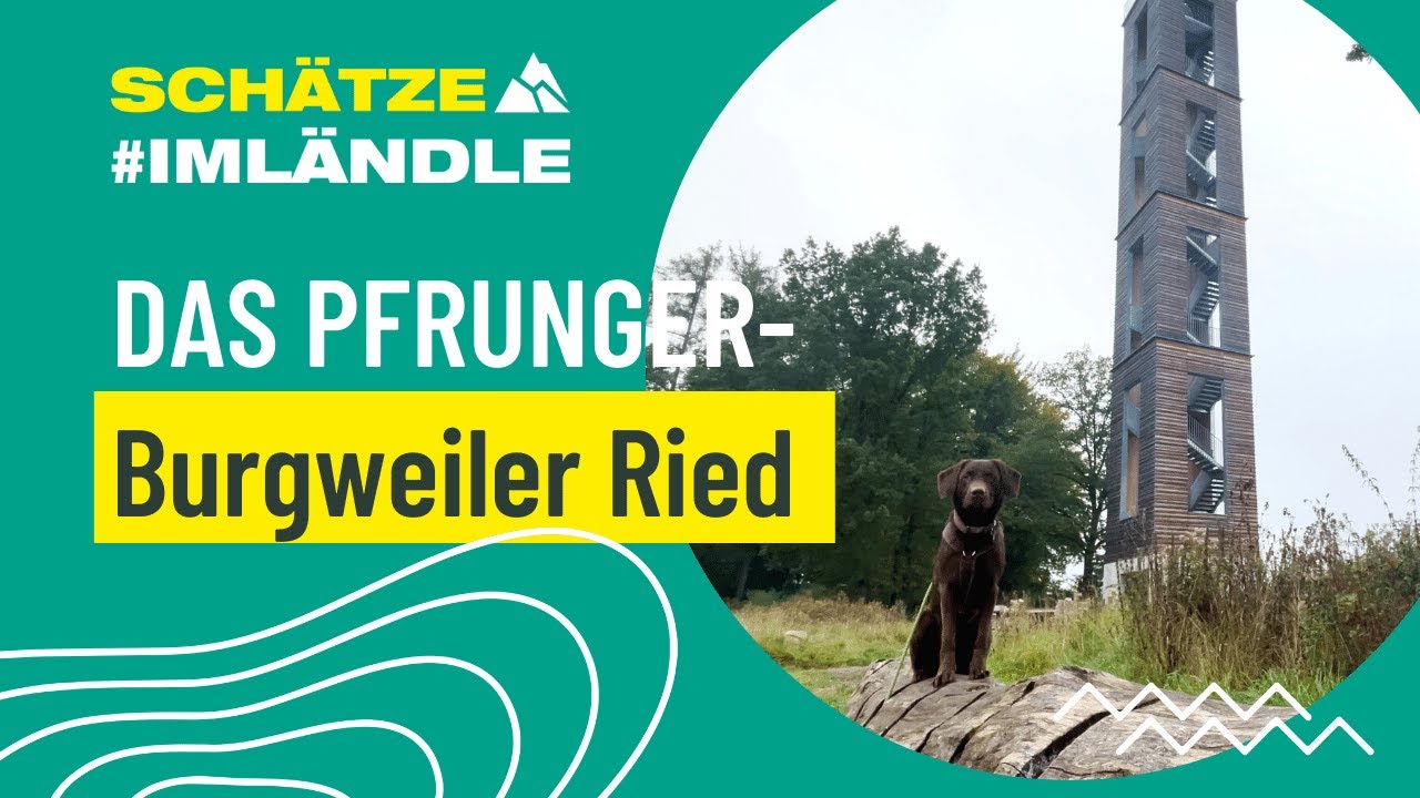 Das Pfrunger-Burgweiler Ried