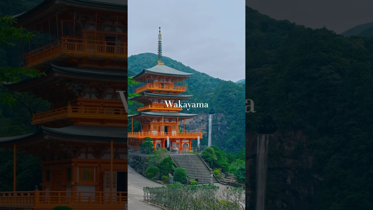 Best hidden gem in Japan: Wakayama 🇯🇵 #TravelJapan
