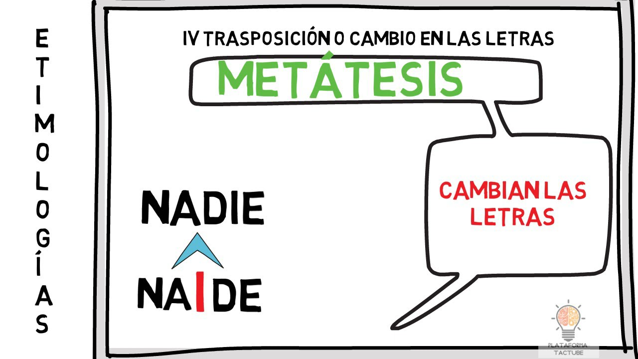 CAMBIOS EN LAS PALABRAS | Morfológicos - Fonéticos - Semánticos | ETIMOLOGÍAS GRECOLATINAS