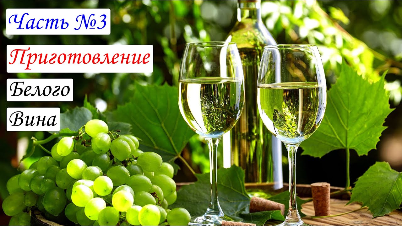 Приготовление БЕЛОГО ВИНА. Вино из  Цитронного Магарача. Часть №3