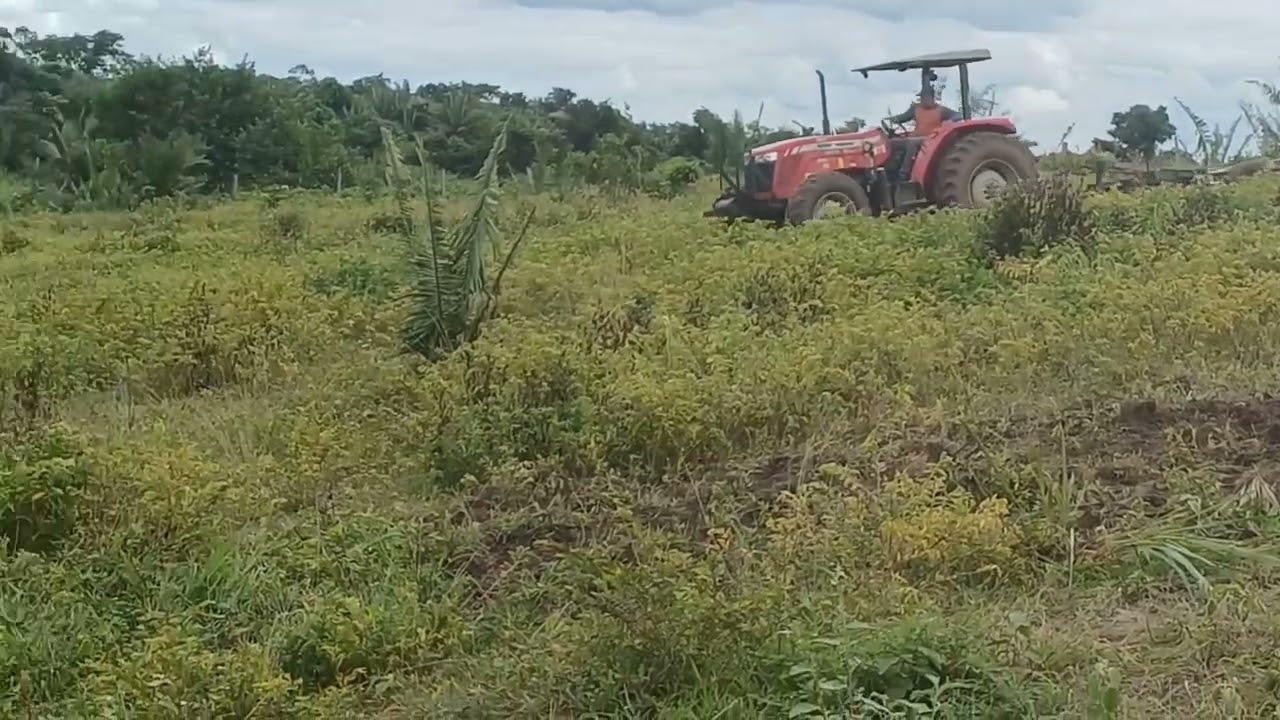 NO DOMINGÃO ESTAMOS AQUI PREPARANDO O SOLO PARA MAIS UM PLANTIO COM AS BÊNÇÃOS DE DEUS 