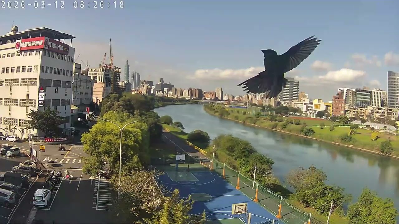 20260312 TimeLapse