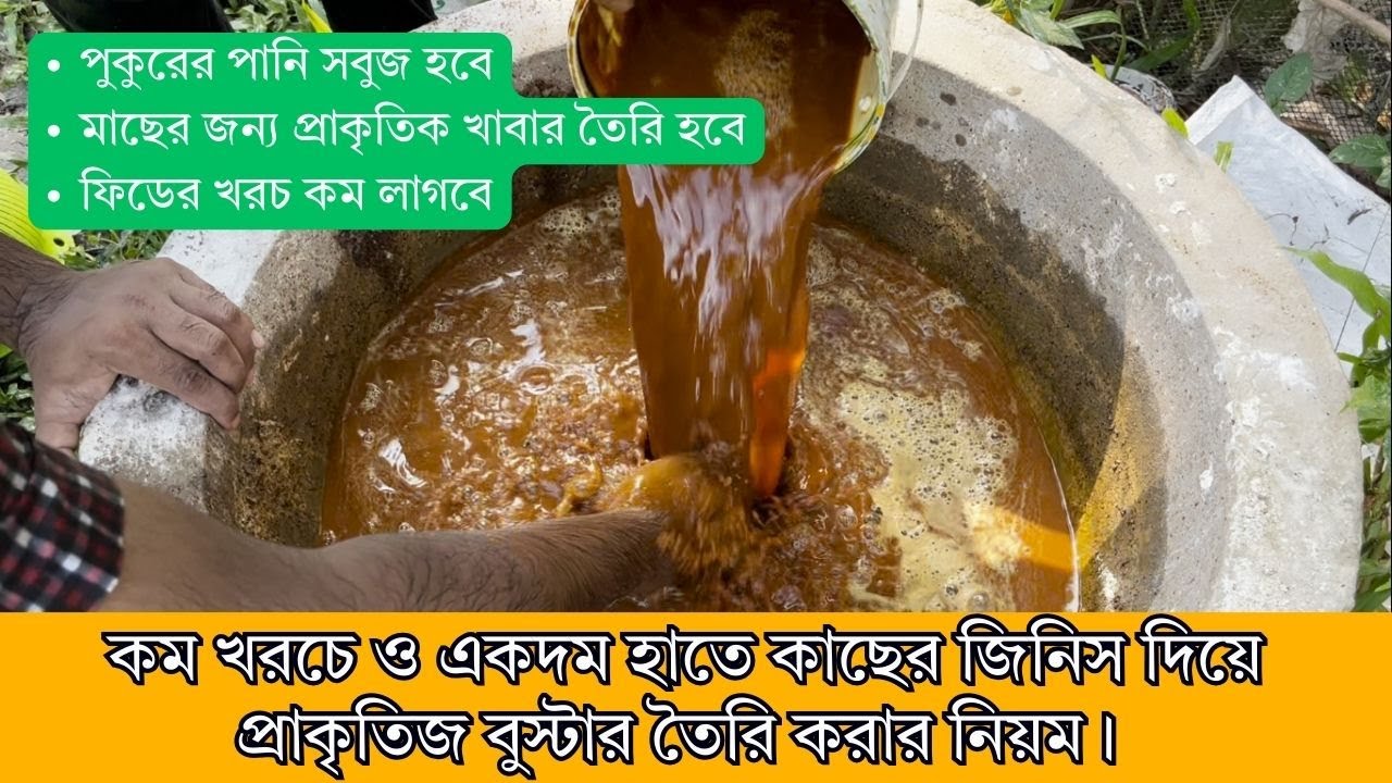 কম খরচে ও একদম হাতে কাছের জিনিস দিয়ে বুস্টার তৈরি করার নিয়ম - পানিও সবুজ হবে, সাথে খাবার খরচও কমবে!
