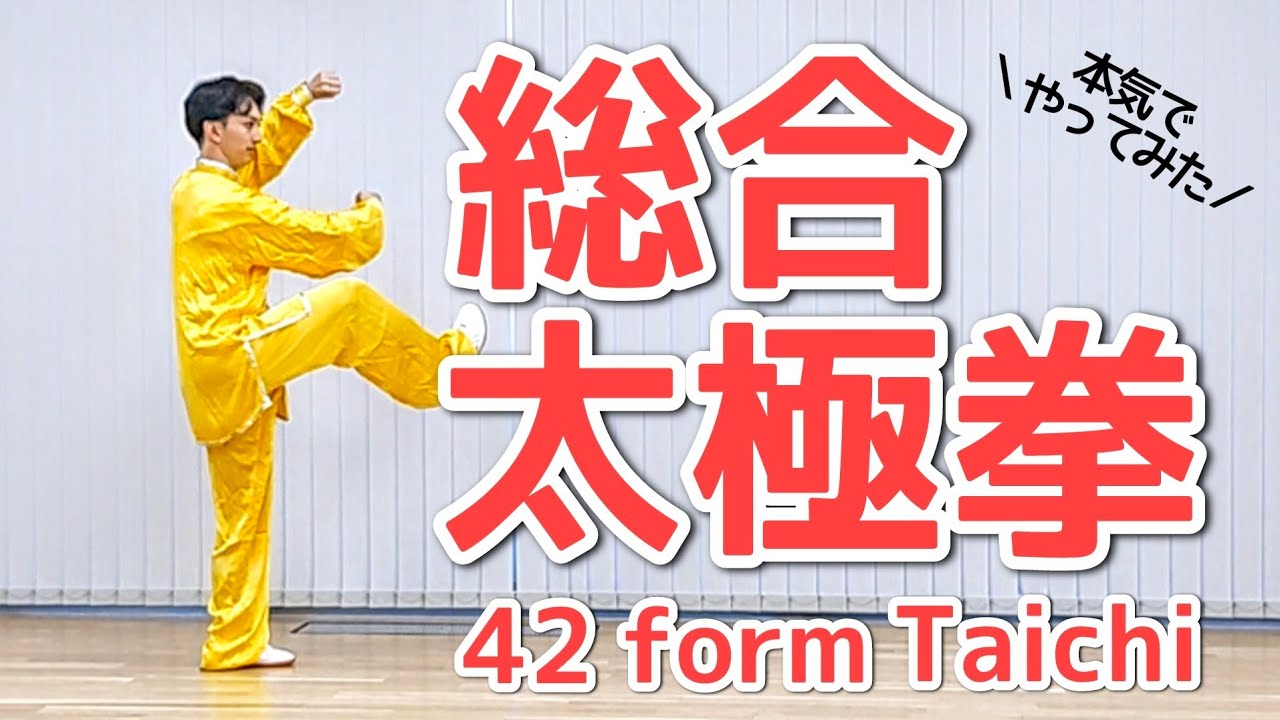 総合太極拳（42式太極拳）演武　〜本気でやってみた〜　42 form Taichi