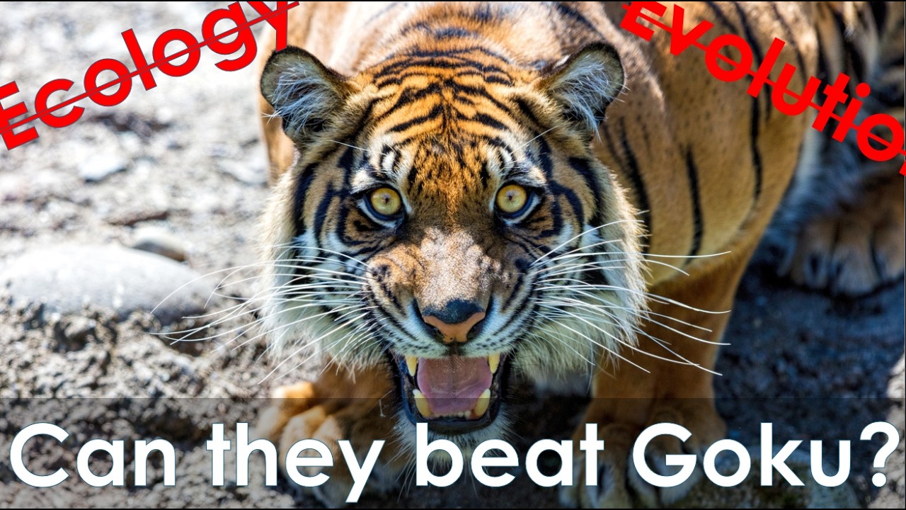 The unending obsession with animals fighting each other