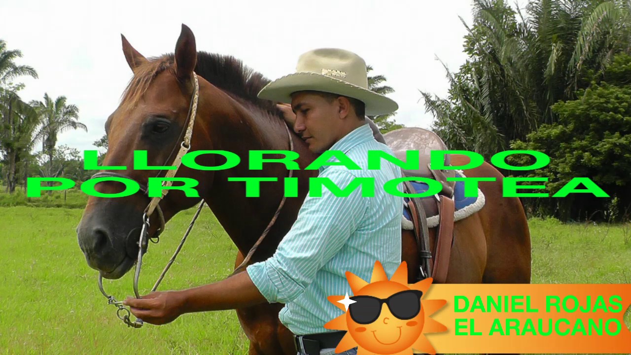 LLORANDO POR TIMOTEA   daniel rojas el criollo araucano
