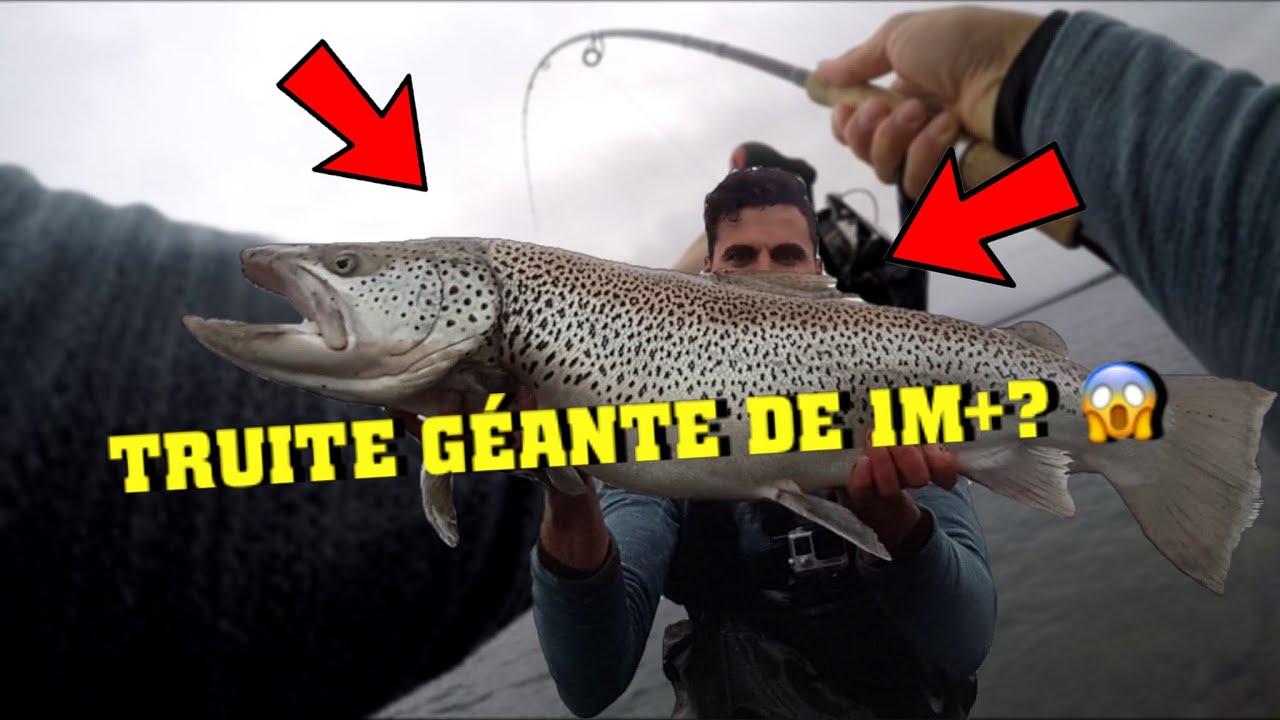 UNE ÉNORME TRUITE DE 1M+?