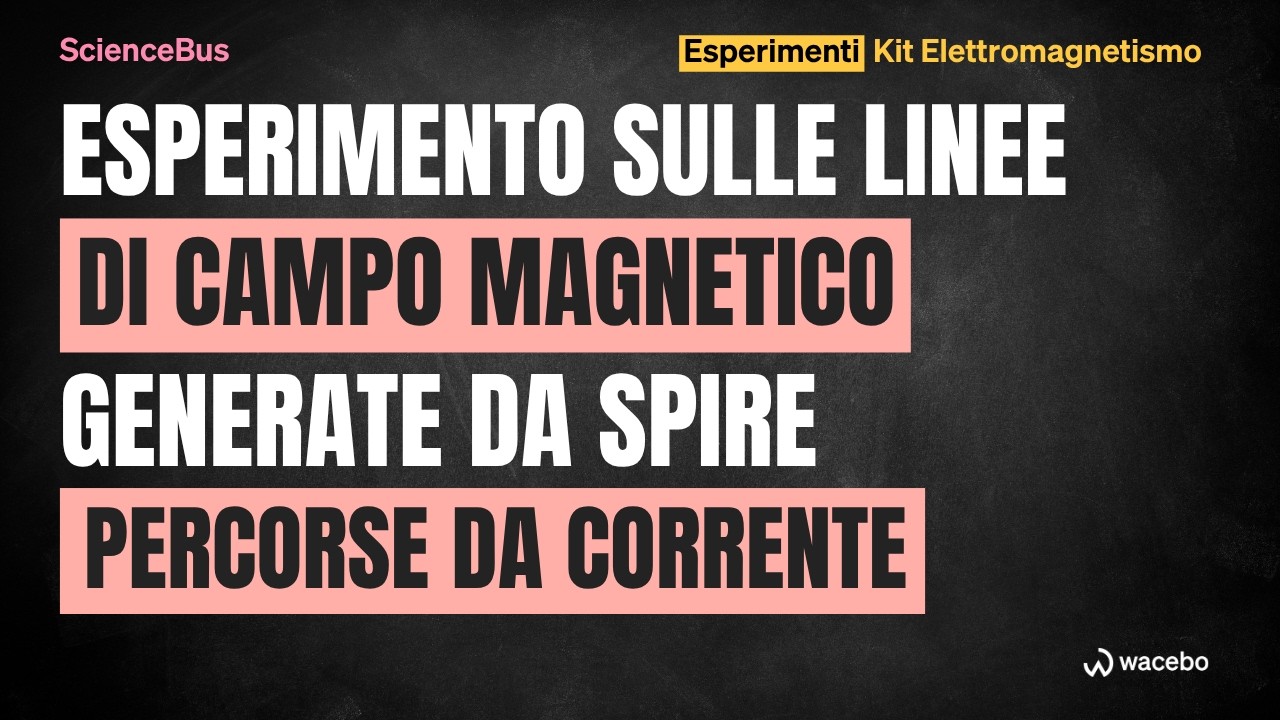 ScienceBus / esperimento con spire e corrente sulle linee di campo magnetico