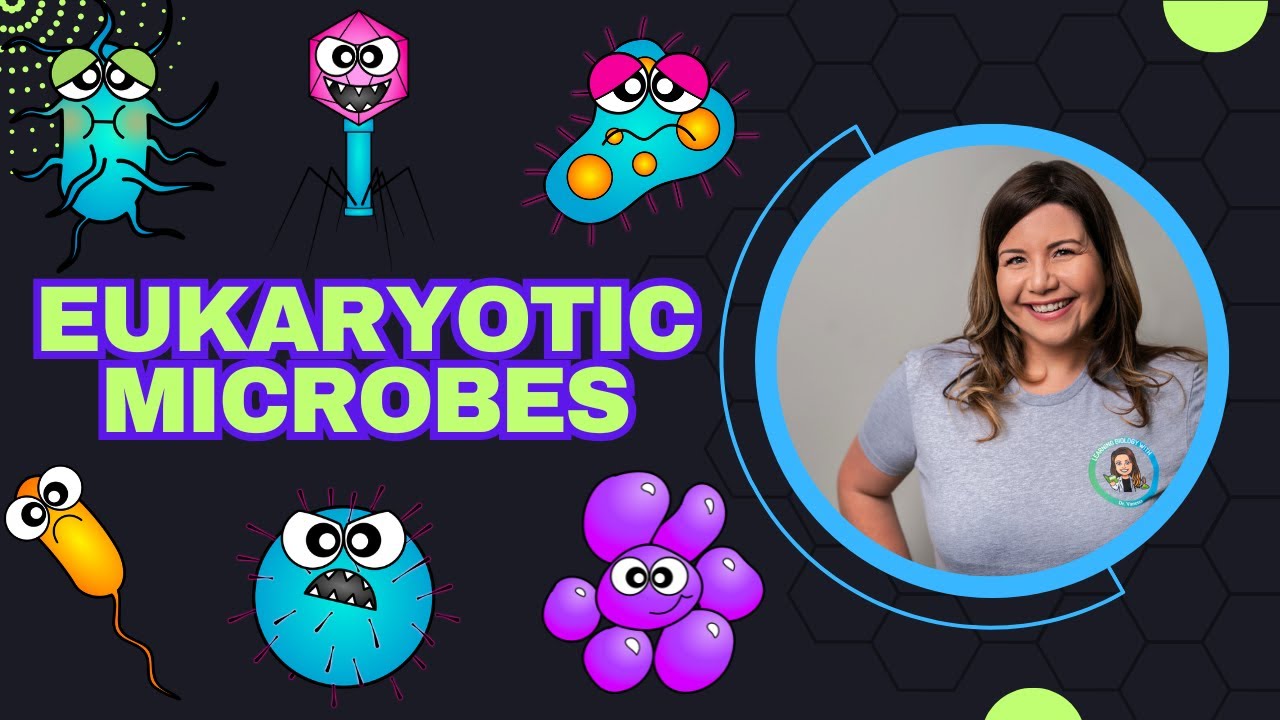 Eukaryotic Microbes | Intro to Microbiology Series