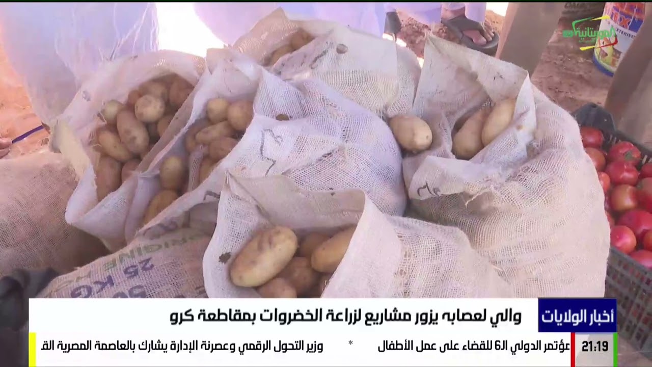 أخبار الولايات 11-02-2026