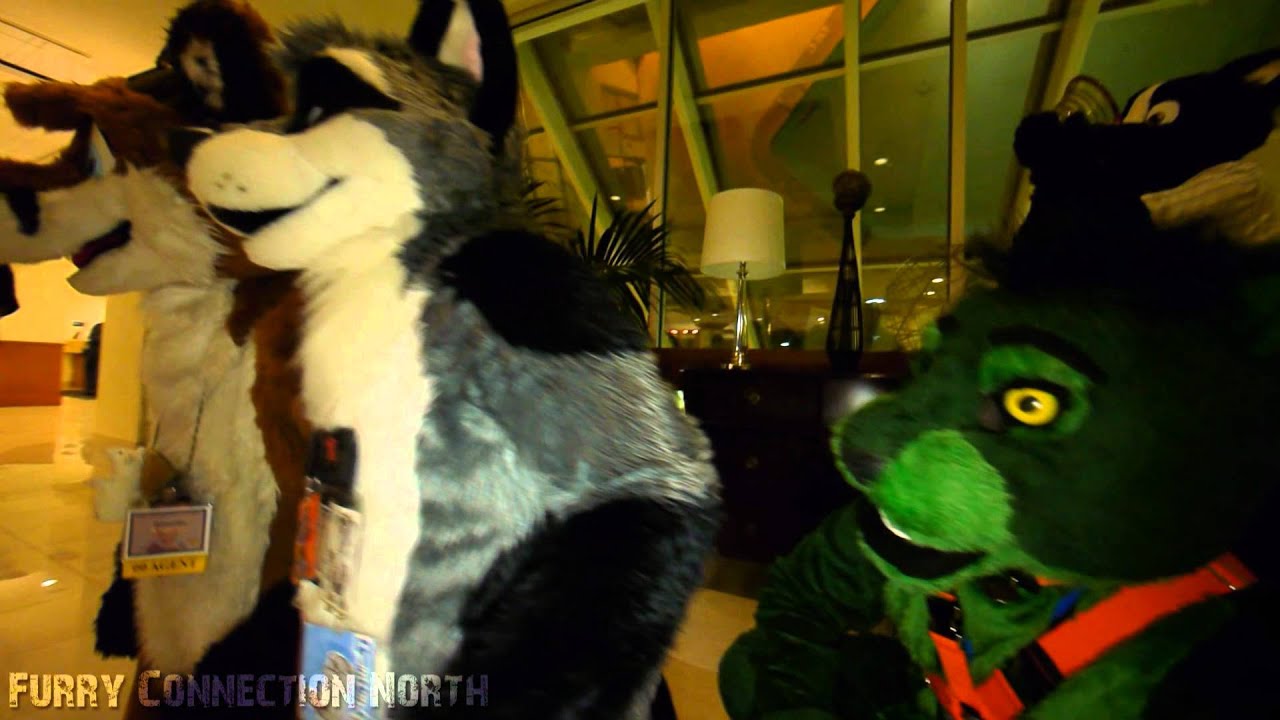 Video Compilaton - Still Motion Furries