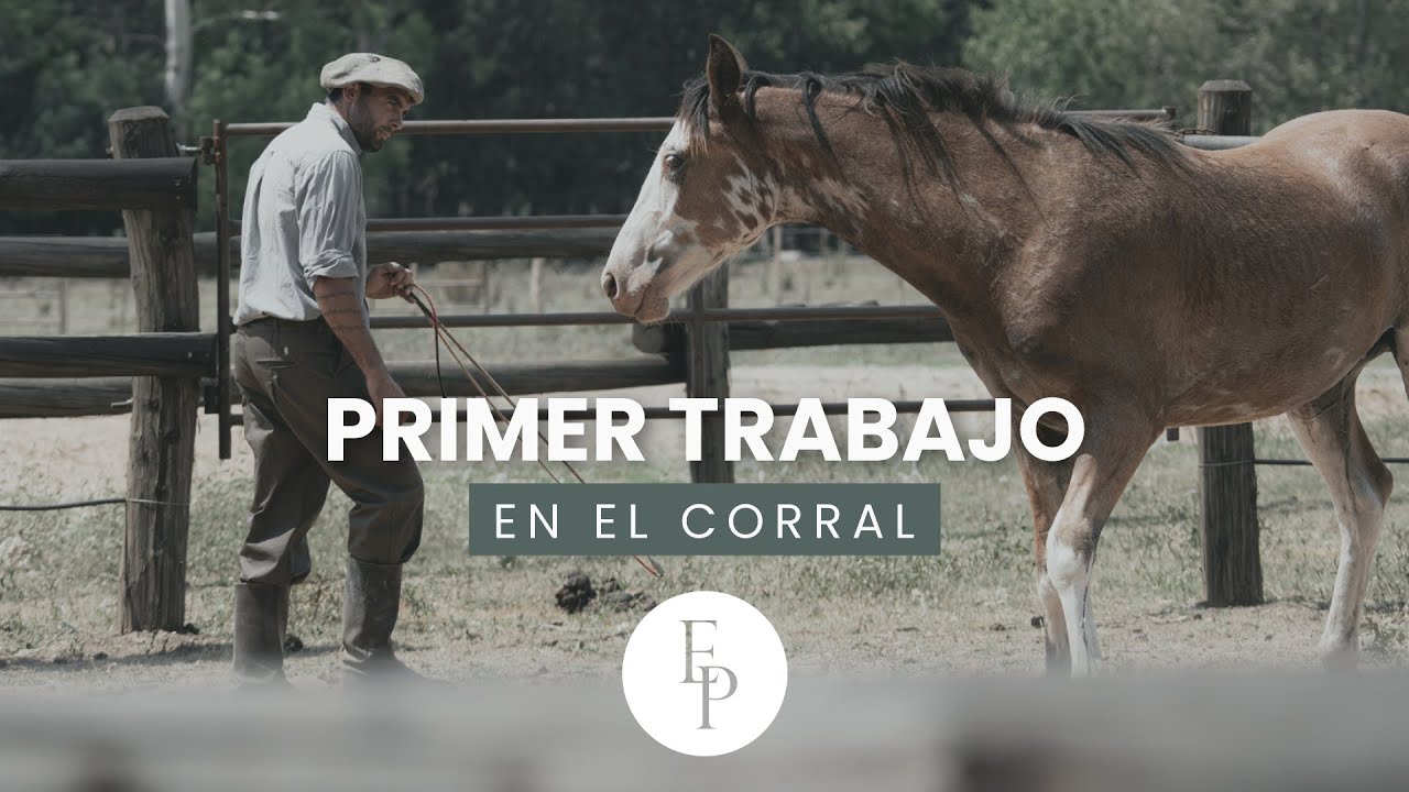 El Potrero - Primer trabajo en el corral
