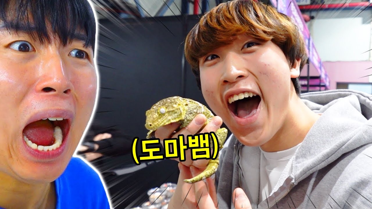 도마뱀을 키우겠다고?!!!!!!