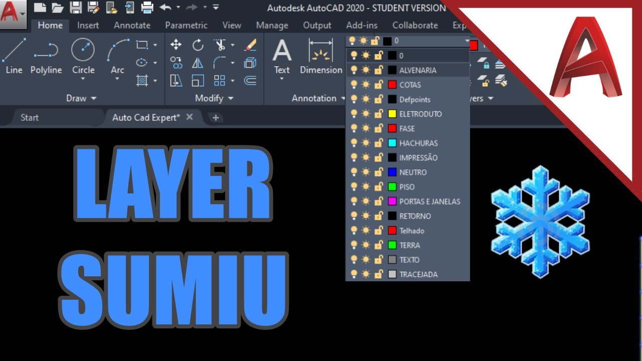 Layer NÃO aparece na impressão do AutoCAD (PROBLEMA RESOLVIDO)