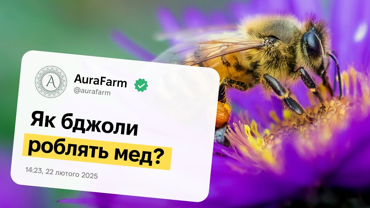 🐝 Цікаві факти про бджіл, які вас здивують!