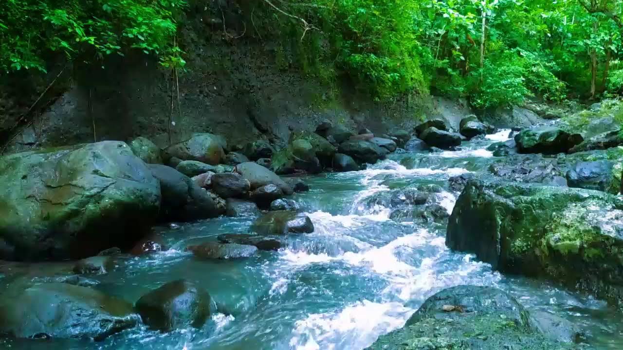 Flowing Water Sounds - Tranquil River for Stress Relief & Sleep