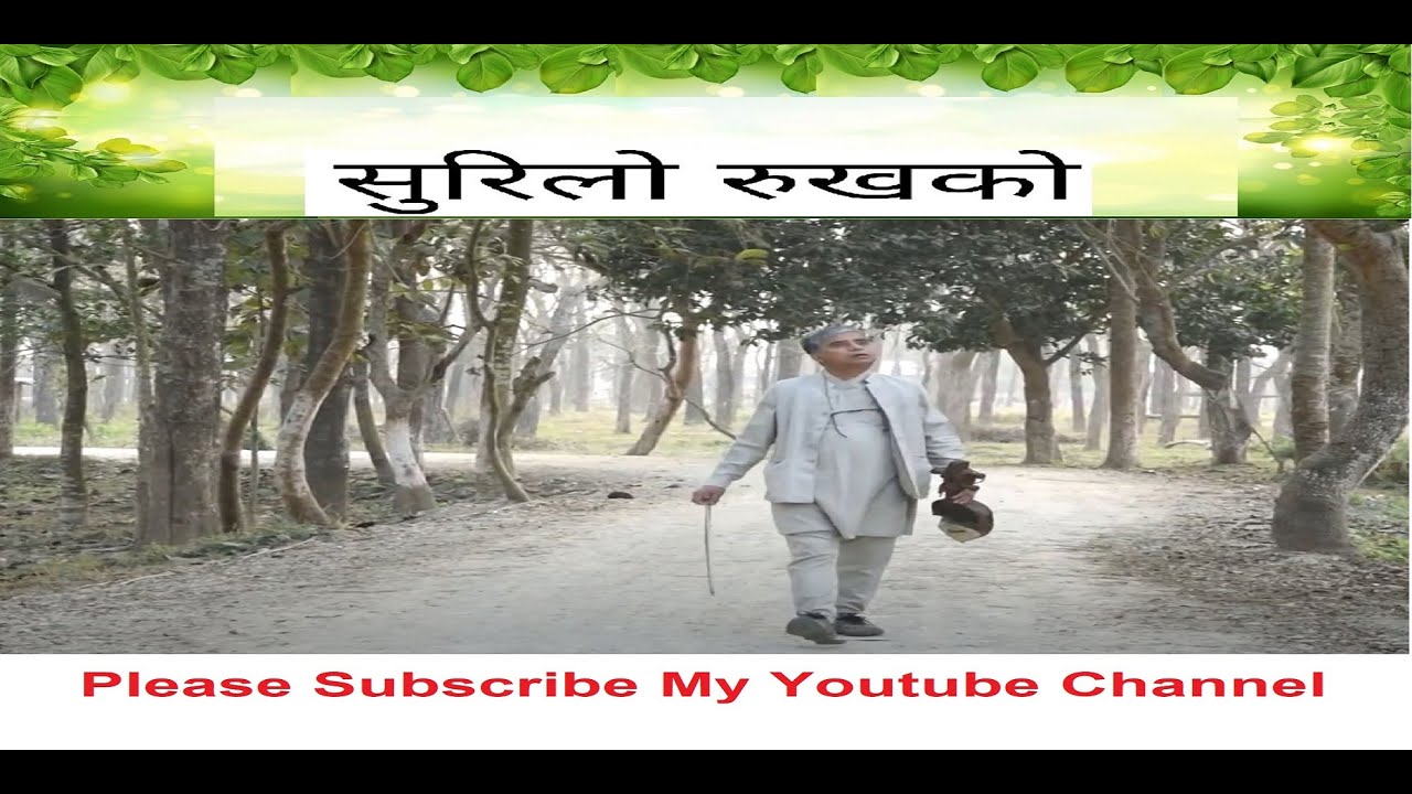 &ldquo;सुरिलो रूखको&rdquo; Surilo Rukh | New Nepali Song | Phanindra Subedee