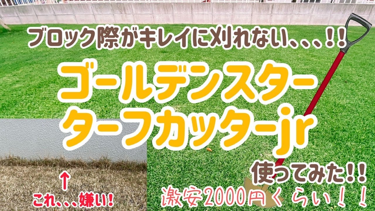 約2000円のゴールデンスター　ターフカッターjr を使った結果は？！ブロック塀のキワのエッジ処理に最適！【芝刈り】【芝生】【芝】【tm9】