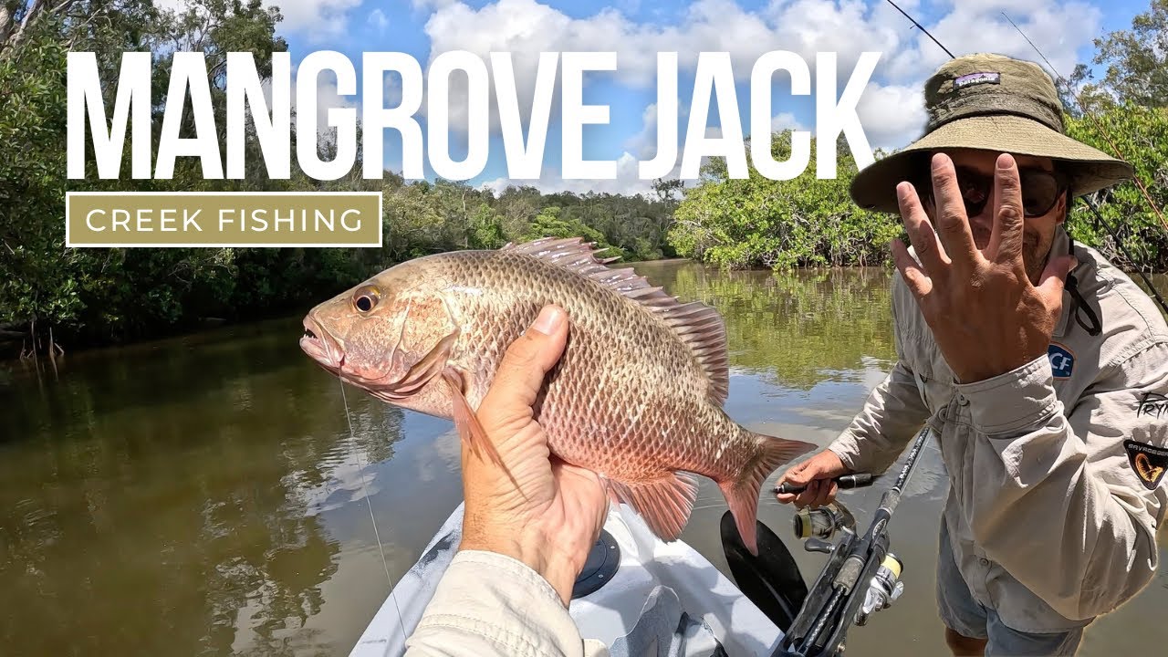KAYAK FISHING ADVENTURE with a hand reel in the NOOSA river Catch and cook mission
